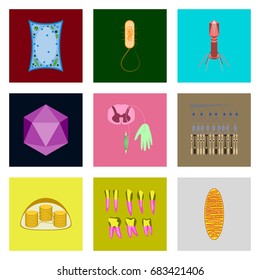 icons set in flat style cells viruses teeth