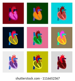 icons set in flat style human organ heart