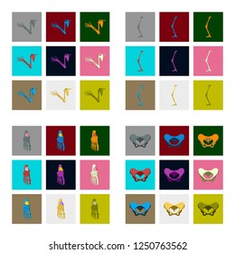icons set in flat style human bones