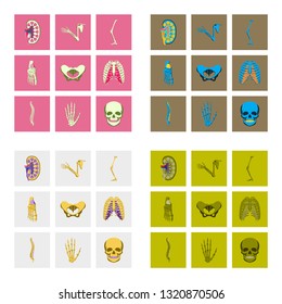 icons set in flat style human bones