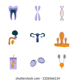icons set in flat style human organs cell