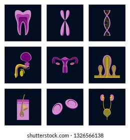 icons set in flat style human organs cell