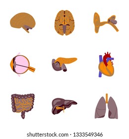 icons set in flat style human organs