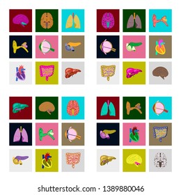 icons set in flat style human organs