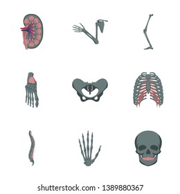 icons set in flat style human bones