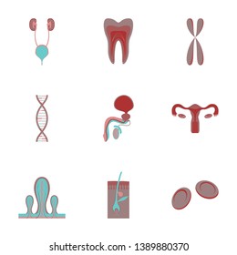 icons set in flat style human organs cell