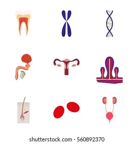 icons set in flat style human organs cell