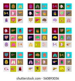 icons set in flat style human organs