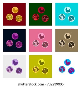 icons set in flat style leukocyte