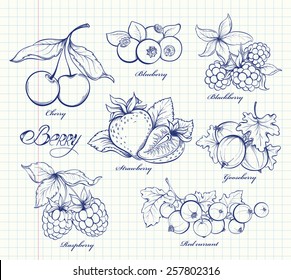 Icons set of hand drawn berries in retro style. Outline image on notebook page background. Doodle vector illustration. Design template