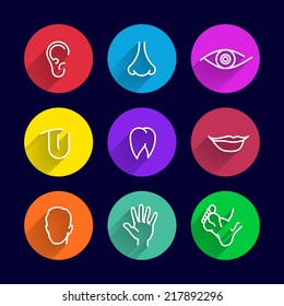 icons set of human bodies, body parts ear nose eyes lips teeth tongue head arm leg