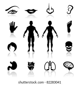 Icons set human organs