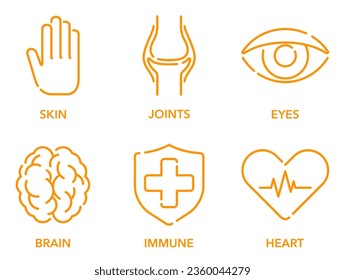 Iconos fijados para el suplemento de nutrientes - Omega 3 o algunas vitaminas. Soporte de cerebro, inmunodeficiencia, corazón y ojos, piel y articulaciones