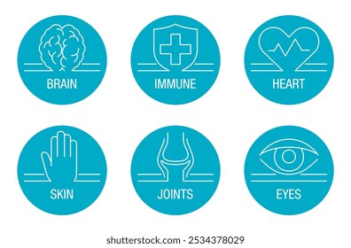 Symbole für Nährstoffzusätze wie Omega 3 oder Vitamine. Gehirn, Immunsystem, Herz und Augen, Haut und Gelenke unterstützen. Dünn getrennte Linien- und Kreisform