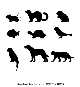 icons set of pets and veterinary. Editable vector stroke.