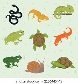 Icons Set Reptiles And Amphibian Animals