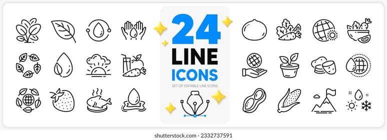 Icons set of Sunset, Safe planet and Leaf dew line icons pack for app with Leaf, Corn, Potato thin outline icon. Macadamia nut, Strawberry, Leaves pictogram. Safe water, Peanut. Vector