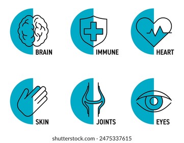 Icons set in thin line and semicircle shape for Nutrient Supplement - Omega 3 or some vitamins. Brain, Immune, Heart and Eyes, Skin and Joints support