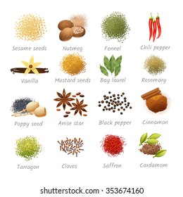 Icons set with titles of piquant food ingredients and fragrant spices realistic isolated vector illustration