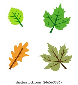 Icons of several types of leaves. Leaf icon in flat style. Collection of leaf illustrations. Element design for natural, eco-friendly and recycling bio labels. Isolated color autumn leaves