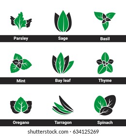 Icons for theme Spices And Herbs