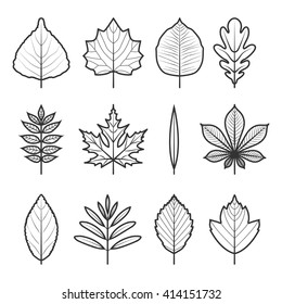 Icons tree leaves