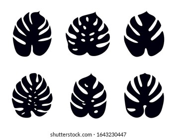 Icons with tropical palm leaves, monstera. Beautiful hand drawn exotic plants. Floral background. Monsters isolated on white background. Monstera leaves, jungle. Silhouette of monstera leaves