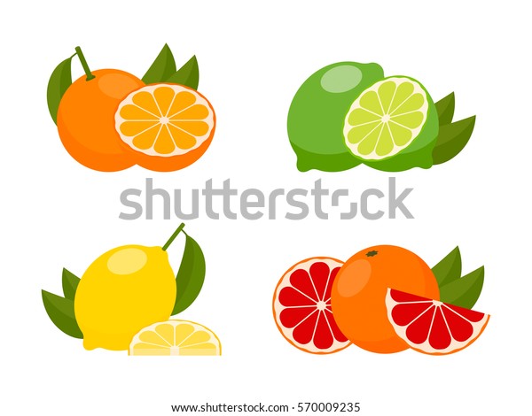 ベクター柑橘のアイコン オレンジ レモン ライム グレープフルーツ タンジェリン 丸ごとの果物と葉との半分をセット フラットスタイルのベクターイラスト のベクター画像素材 ロイヤリティフリー
