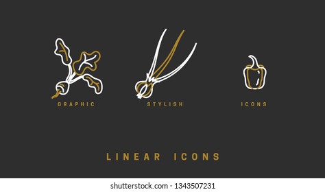 Icons vegetables in linear style. set food icon vector graphics