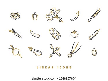 Icons vegetables in linear style. set food icon vector graphics
