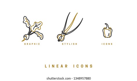 Icons vegetables in linear style. set food icon vector graphics