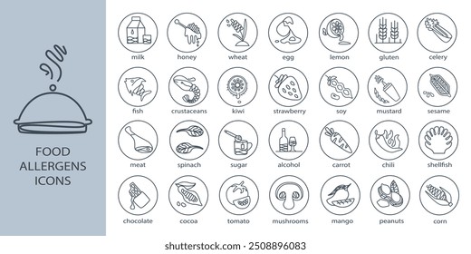 Icons with warning labels for ingredients. Food allergens icon set. Food Intolerance. Colorful Allergens icons.