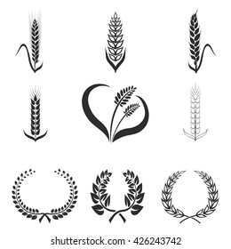 Icons of wheat, rye, corn, graphic design elements on a white isolate background - vector illustration.
