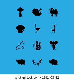 [IconsCount] africa vector set. With quiver, ostrich and rhinoceros icons in set