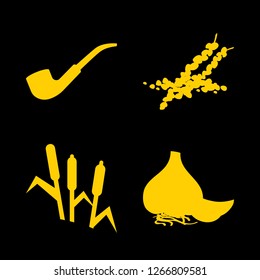 [IconsCount] aromatic vector set. With garlic, spice and smoking pipe icons in set