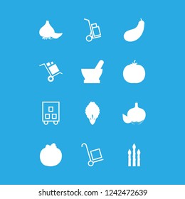 [IconsCount] grocery vector set. With avocado, tomato and shopping cart goods icons in set