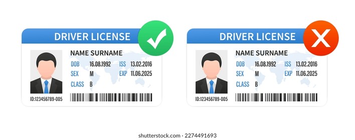 ID cards. Personal info data. Identification document with person photo. User or profile card. Driver's license. Flat style. Plastic card template with a tick and a cross. Vector illustration