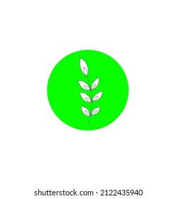 Id Green Tree suitable for anything