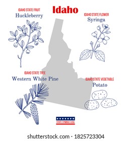 Idaho. Set of USA official state symbols. Vector hand drawn illustration