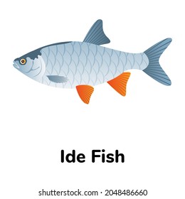 An ide fish flat icon download