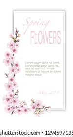 The idea of cover, invitation, booklet, printing. Handmade background in the Japanese style. Magenta on white fond. Light frame vertical of sakura flowers.