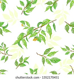 The idea of cover, invitation, booklet, printing. Botanical background, laurel, ficus, tea. Fresh green leaves. Handmade seamless pattern.