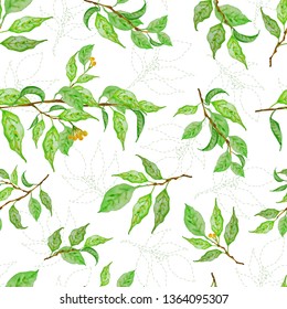 The idea of cover, invitation, booklet, printing. Botanical background, laurel, ficus, tea. Handmade seamless pattern. Fresh spring leaves.