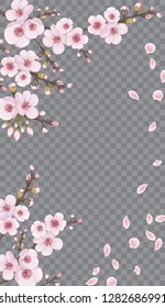 桜 花びら 透過 の画像 写真素材 ベクター画像 Shutterstock