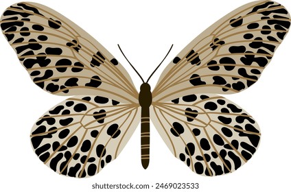 The idea of ​​a hypermnestra butterfly from the Danaid group of the Nymphalidae family. A large insect with spotted wings.