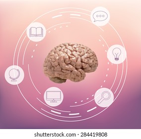 Idea infographic vector with icons and human brain