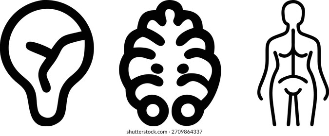 Iconos de la idea, de la inteligencia, y del cuerpo humano que representan el pensamiento, salud aislada en el fondo blanco, Vector