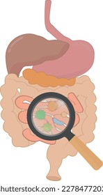 Idea intestines with microbes under a magnifying glass stomach tract sick vector illustration