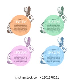 The idea of the stickers for the packaging for rabbit meat. Vector. Isolated on background. Orange, blue, green, pink circles. Place for your information. Happy Easter.