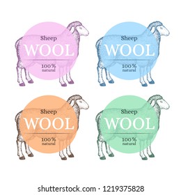 The idea of the stickers for the packaging for sheep wool. Vector. Isolated on background. Orange, blue, green, pink circles.
